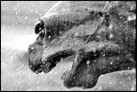 -img_4282.jpg