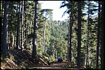 -2008-137.jpg