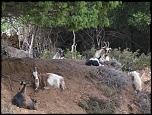 -pict0144.jpg