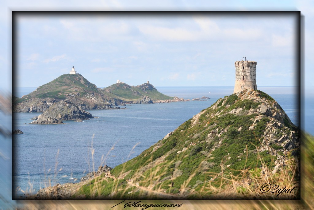 -iles-sanguinaires.jpg