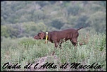 ONDA3