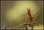 -_mg_3748.jpg