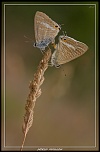 -_mg_3969.jpg