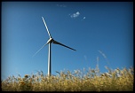 microdrive 2,2 Go-img_1404cfb.jpg