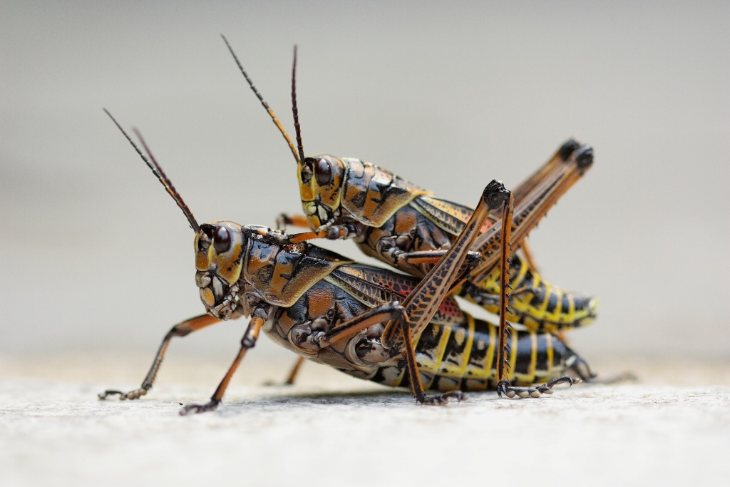 -img_0117_2small.jpg