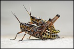 -img_0117_2small.jpg