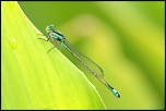 -img_9590_2small.jpg