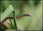 -img_0142_3.jpg
