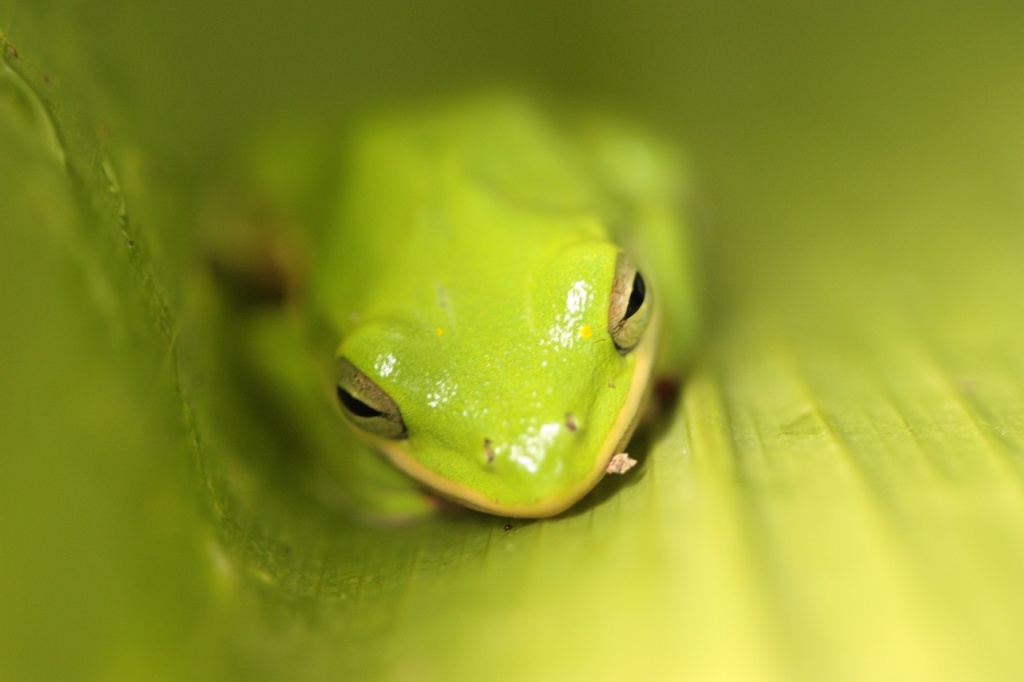 -img_9509_2small.jpg
