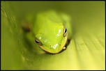 -img_9509_2small.jpg