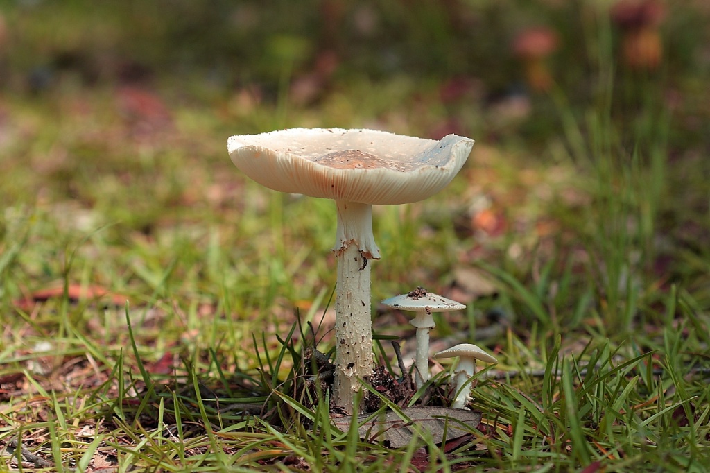 -img_9682_3small.jpg