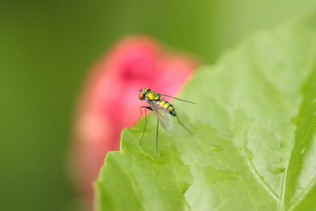 -img_9486_2small.jpg