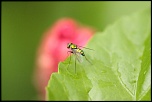 -img_9486_2small.jpg