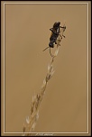 Cherche Objectif pour 300d-_mg_5067.jpg