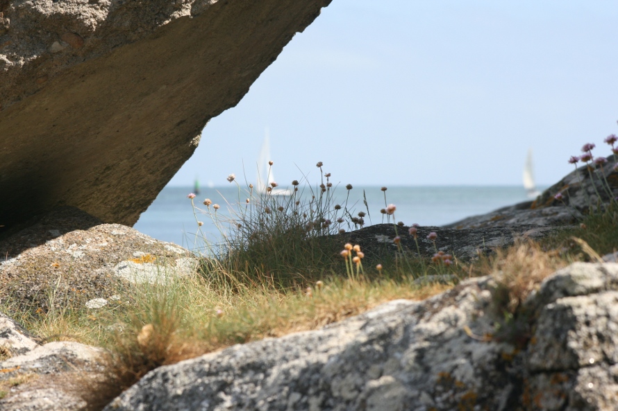 -sainte-marine-14-b.jpg