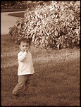 Cherche Objectif pour 300d-img_2976.jpg