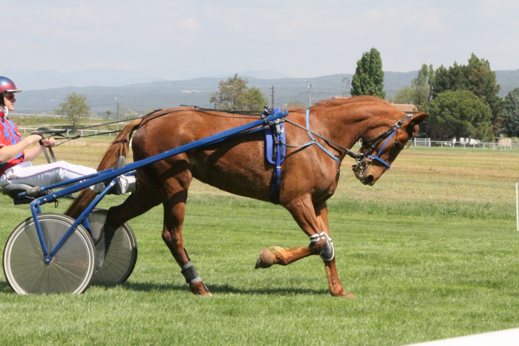 -hippodrome-doraison-canon-7d-15-.jpg