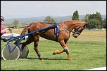 champs de course
