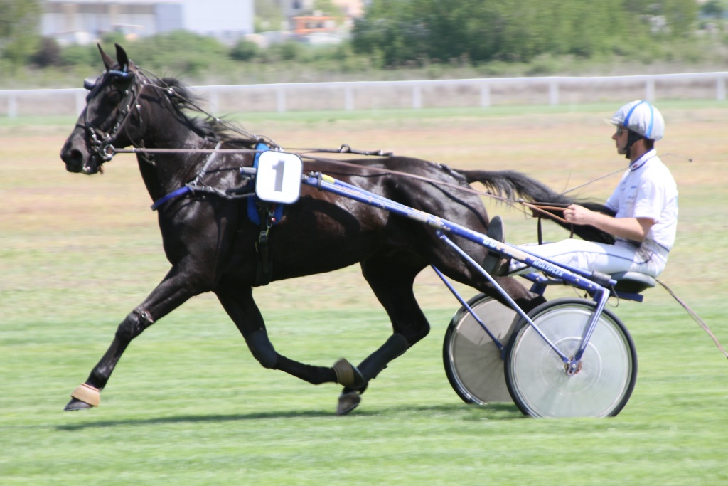 -hippodrome-doraison-canon-7d-30-.jpg