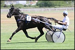 -hippodrome-doraison-canon-7d-30-.jpg