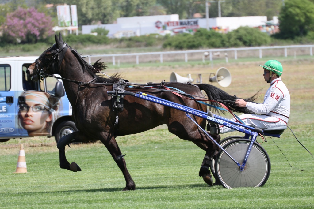 -hippodrome-doraison-canon-7d-102-.jpg
