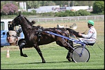 -hippodrome-doraison-canon-7d-102-.jpg
