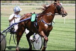 -hippodrome-doraison-canon-7d-120-.jpg