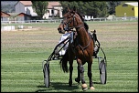 -hippodrome-doraison-canon-7d-53-.jpg