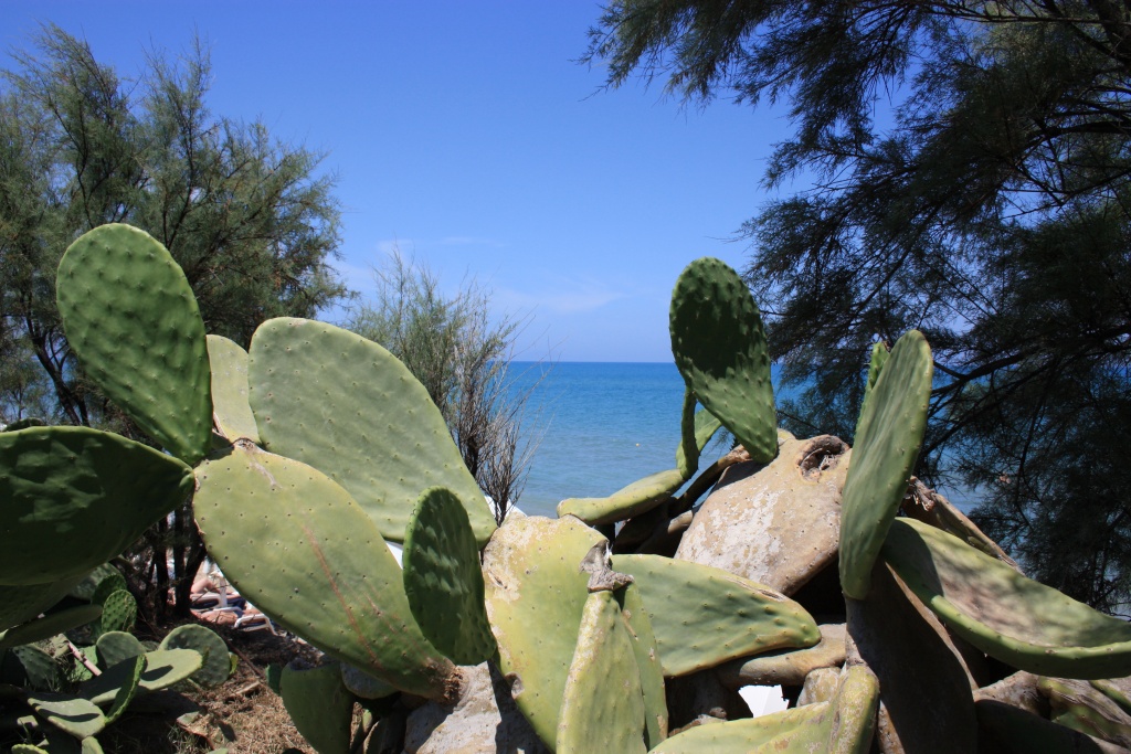 -sicile-632.jpg