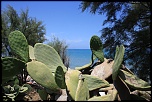 -sicile-632.jpg