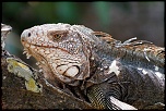 -img_2470_dxo_raw-affichage-courrier-grand-format.jpg