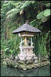 -img_7630.jpg