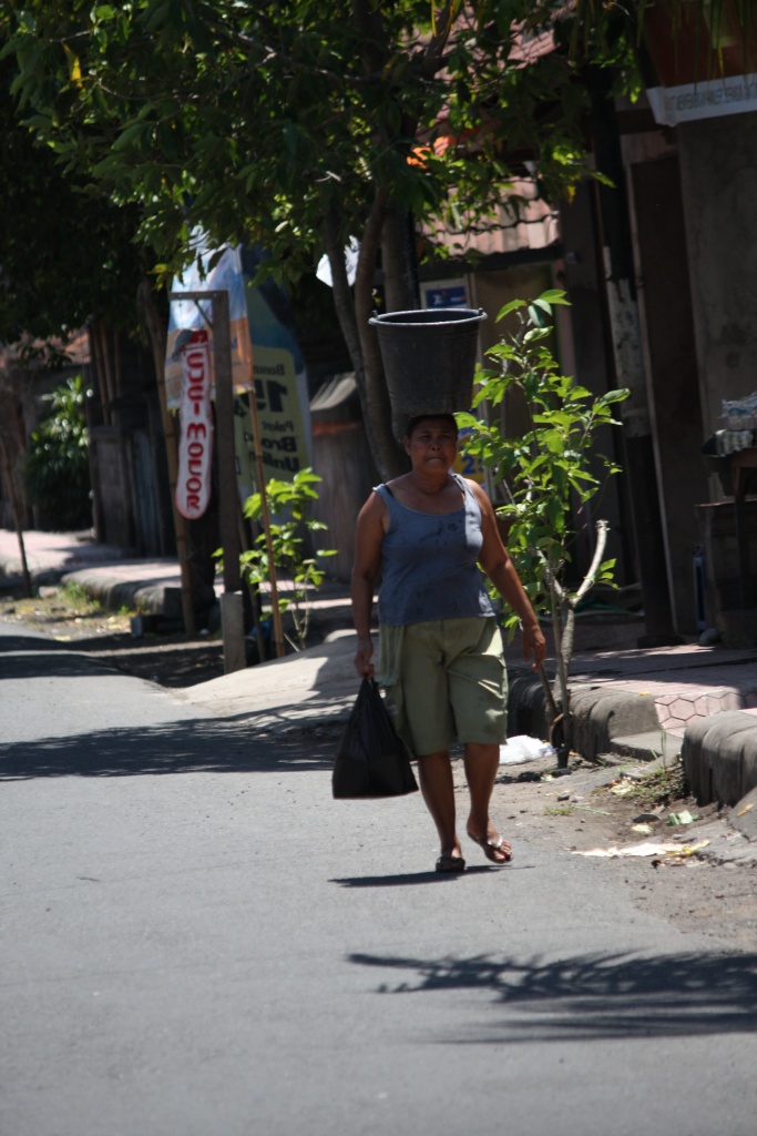 -20100902-tete-portante.jpg