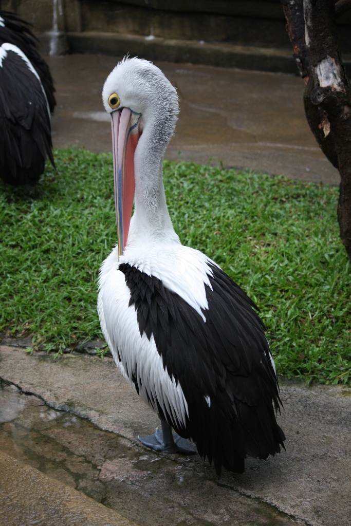 -img_7941.jpg
