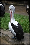 -img_7941.jpg