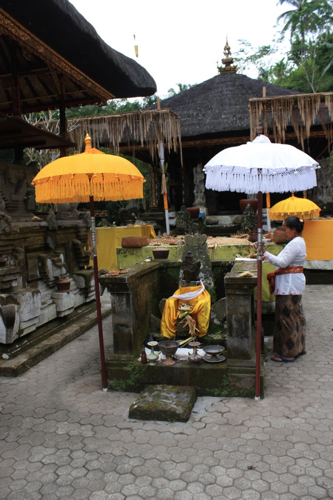 -img_7723.jpg