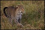 -img_8420_dxo-affichage-courrier-grand-format.jpg
