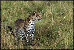 -img_8417_dxo-affichage-courrier-grand-format.jpg