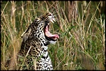 -img_8397_dxo-affichage-courrier-grand-format.jpg