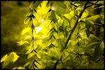 -29042011-img_0112.jpg