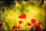 -28042011-img_0034.jpg