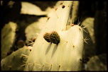 -29042011-img_0094.jpg