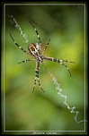 Cherche Objectif pour 300d-_mg_5839.jpg