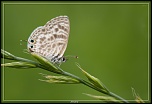 Cherche Objectif pour 300d-_mg_5725.jpg