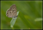 Cherche Objectif pour 300d-_mg_5739.jpg