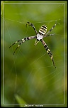 Cherche Objectif pour 300d-_mg_5828.jpg