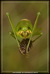 Cherche Objectif pour 300d-_mg_5648.jpg