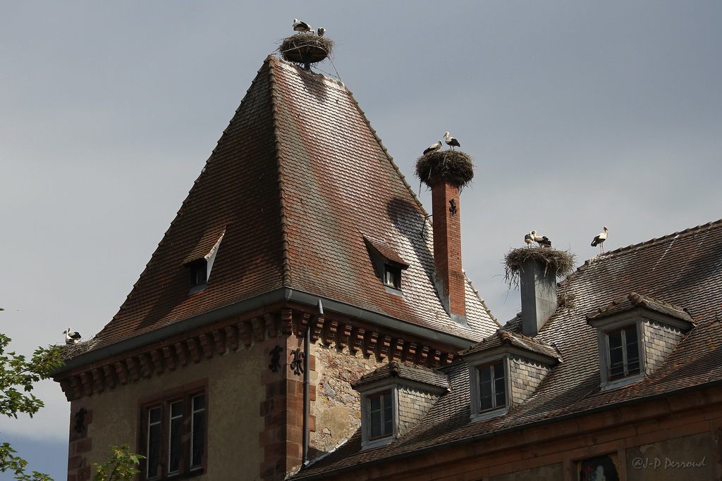 En couple, en couple, moi je suis seul !

Munster, Alsace, Haut-Rhin, France - juin 2011