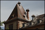 En couple, en couple, moi je suis seul ! 
 
Munster, Alsace, Haut-Rhin, France - juin 2011