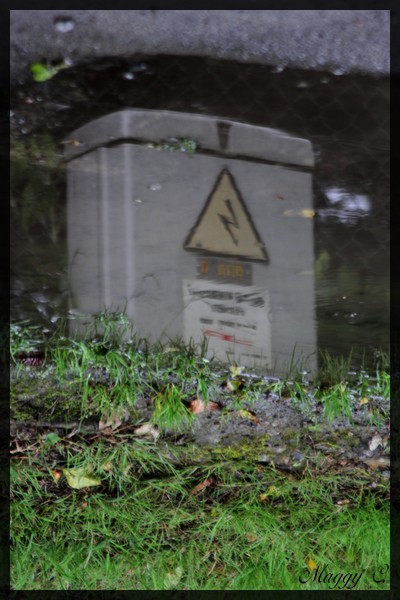 -reflet-de-la-borne-electrique.jpg